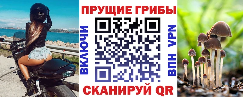 ссылка на мегу вход  Руза  Галлюциногенные грибы Magic Shrooms  хочу  